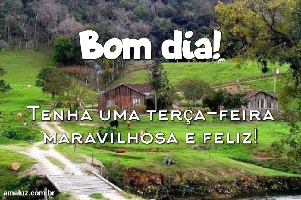 Bom dia tenha uma terça feira maravilhosa e feliz.