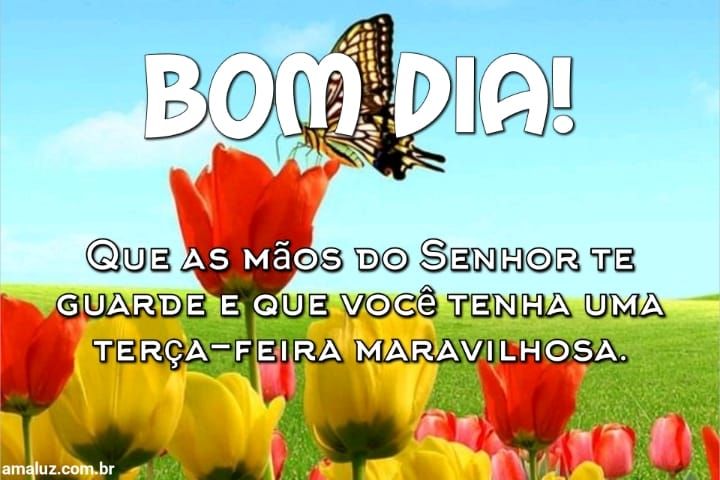 Bom dia tenha uma terça feira maravilhosa 