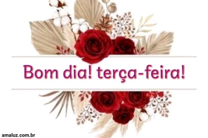Bom dia feliz terça feira