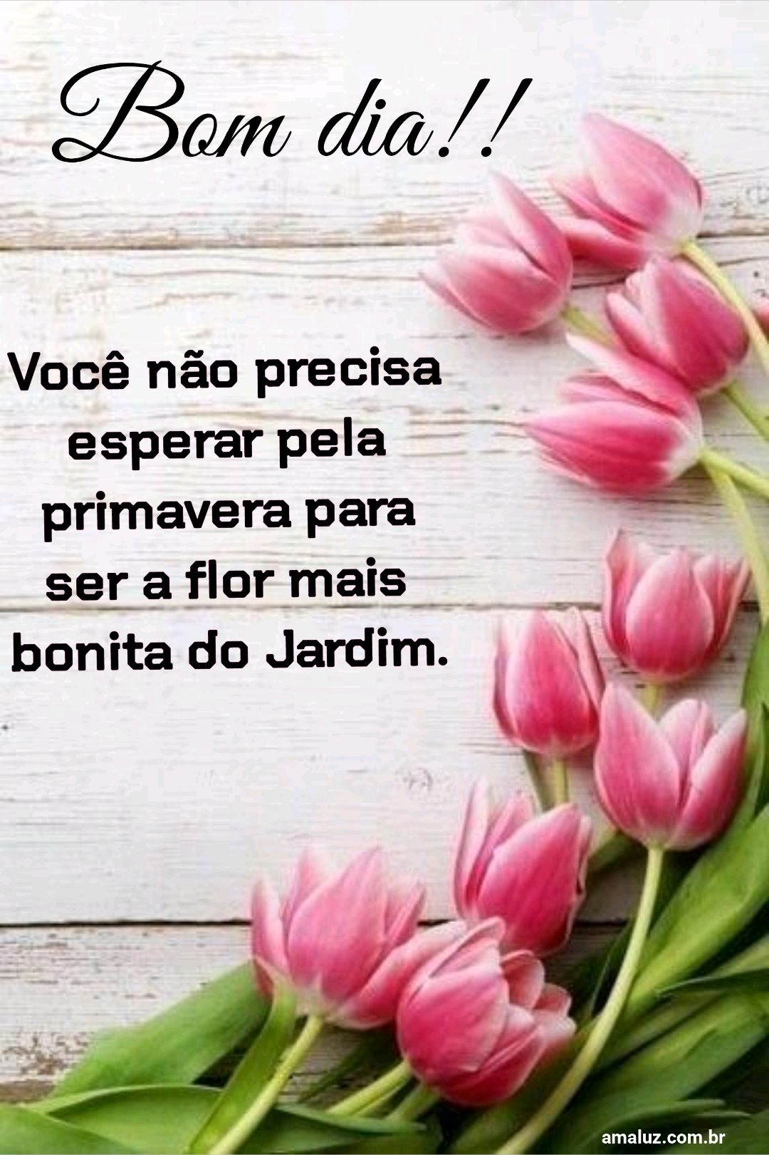 Bom dia, você não precisa pela...