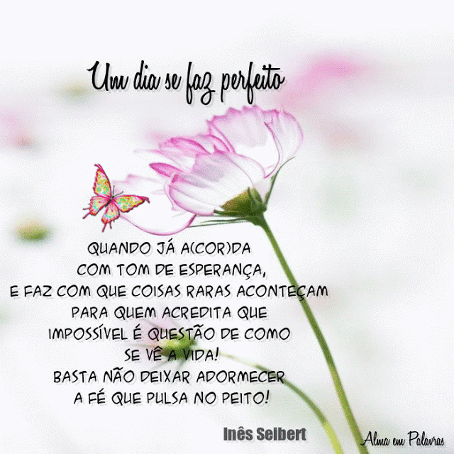 Feliz segunda feira gifs apaixonadas