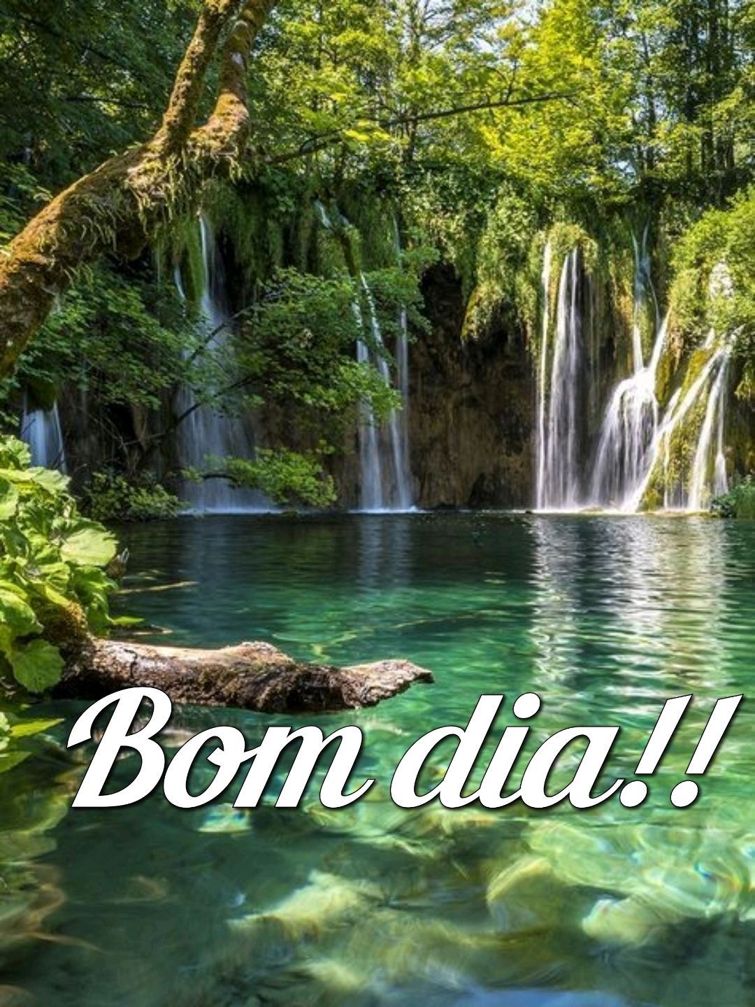 Fotos da natureza para criar bom dia