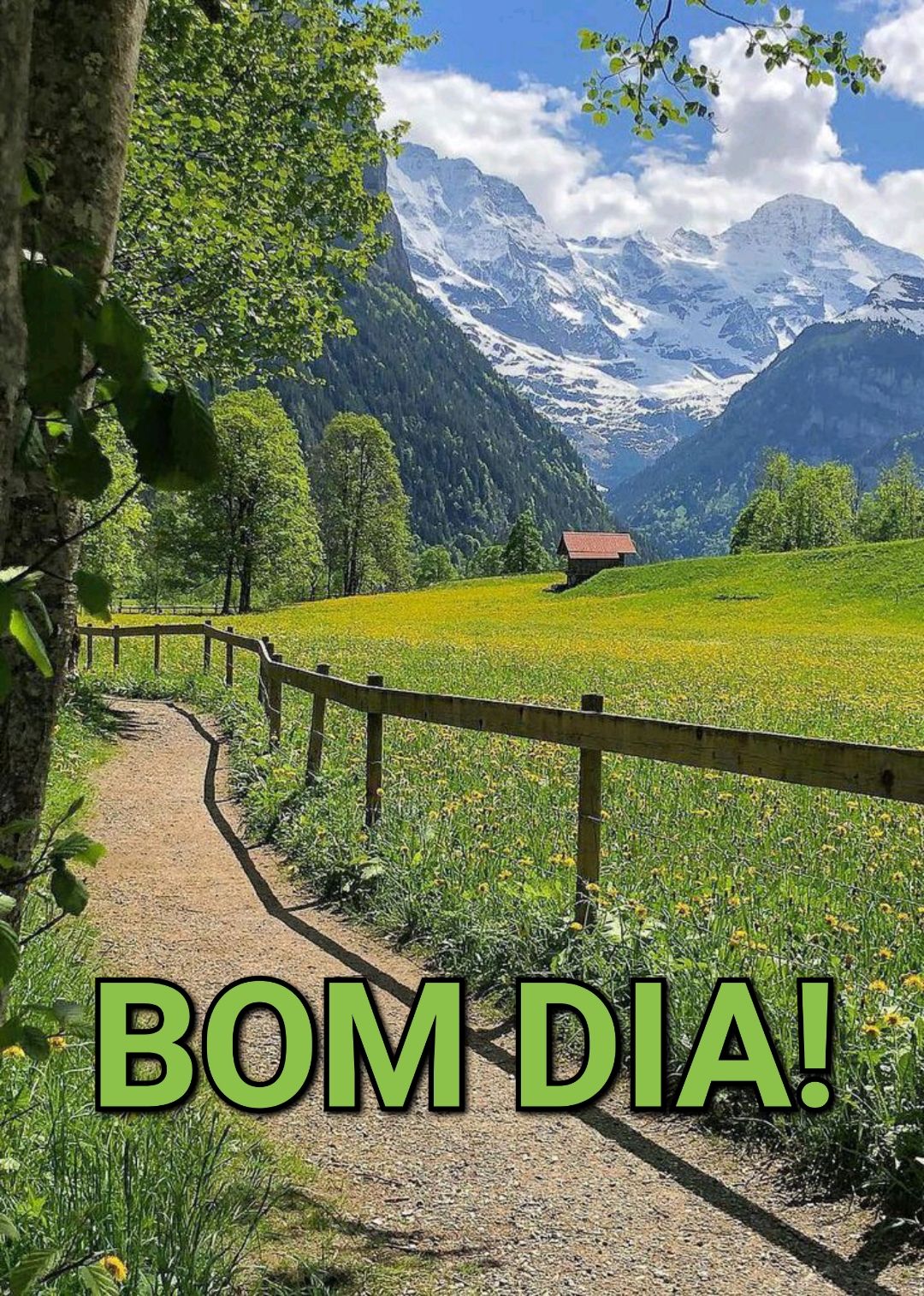 Imagens de campos para desejar bom dia