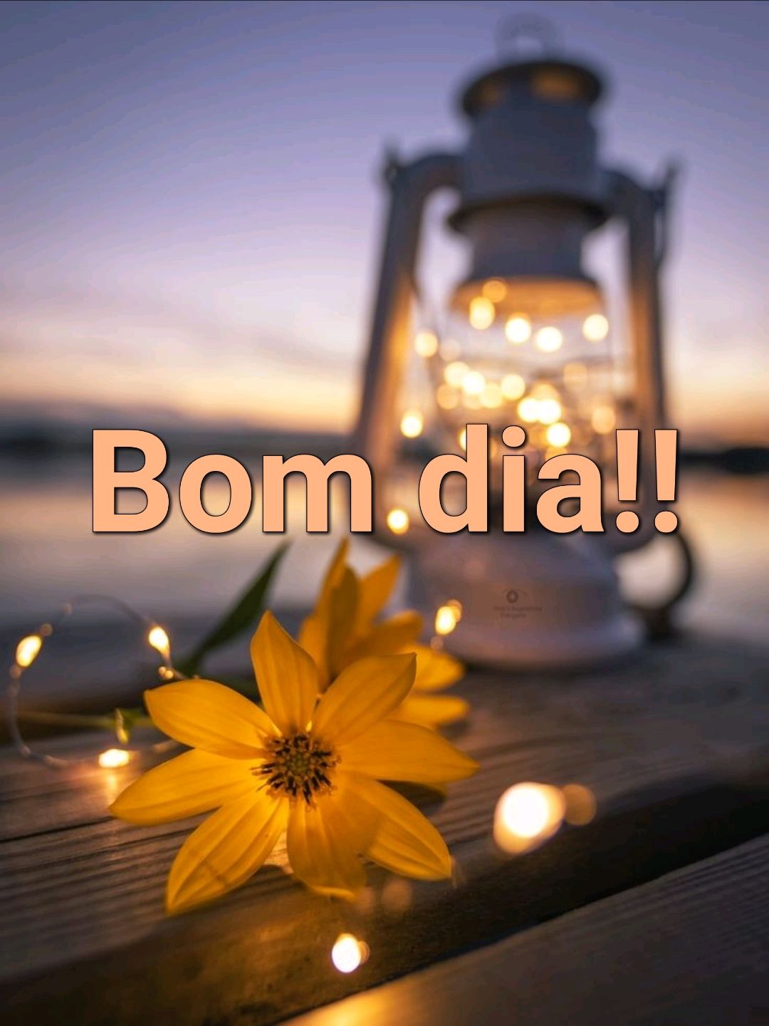 Lindas fotos para criar seus bom dia