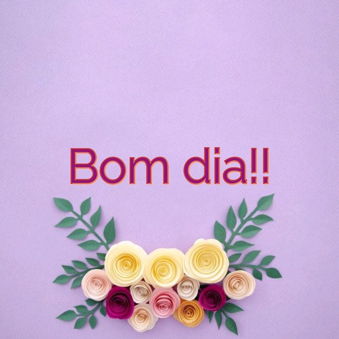 Lindas gatos para você criar lindas imagens de bom dia