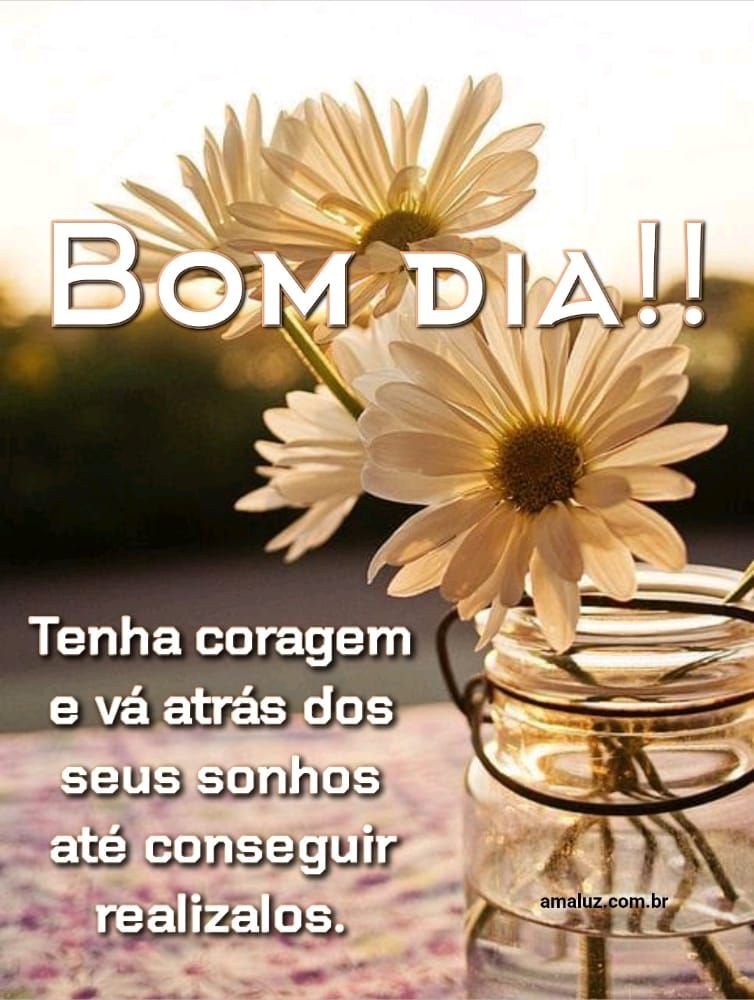 Nunca desista dos seus sonhos bom dia