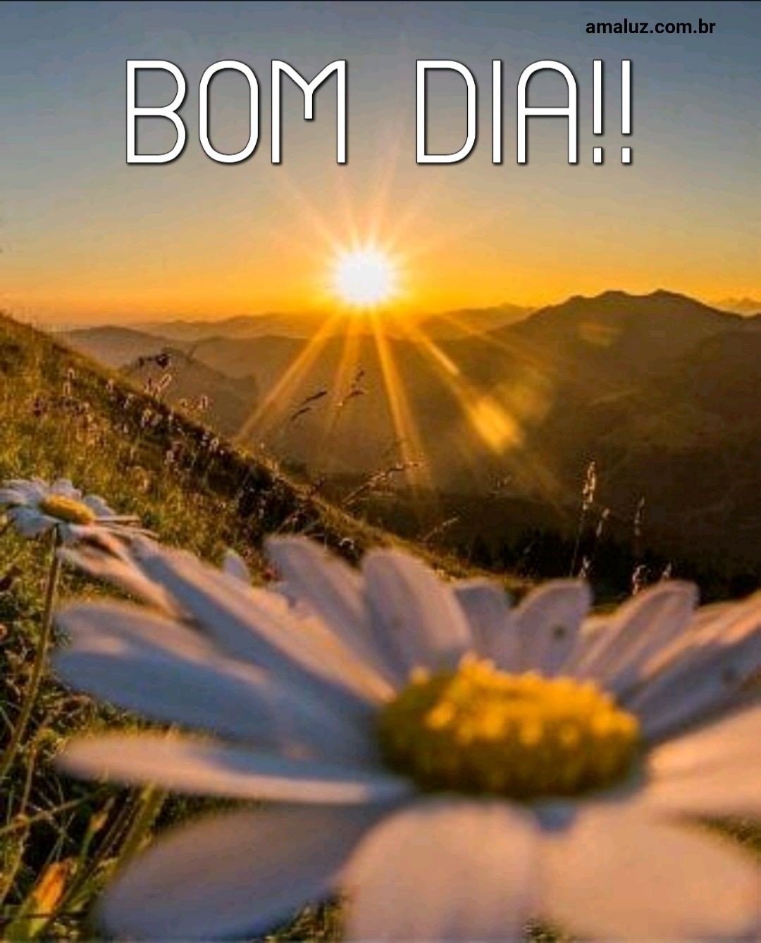  o sol nasceu hora de desejar bom dia