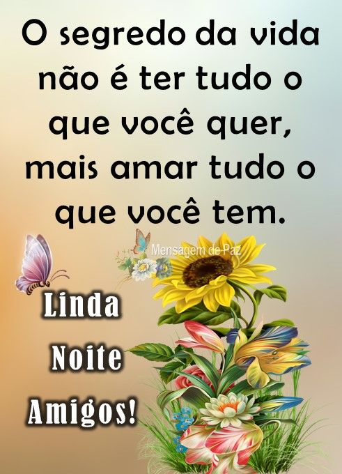 O segredo da vida não é ter tudo o que quer, mas ter o amor, a paz e o carinho. Boa tarde!