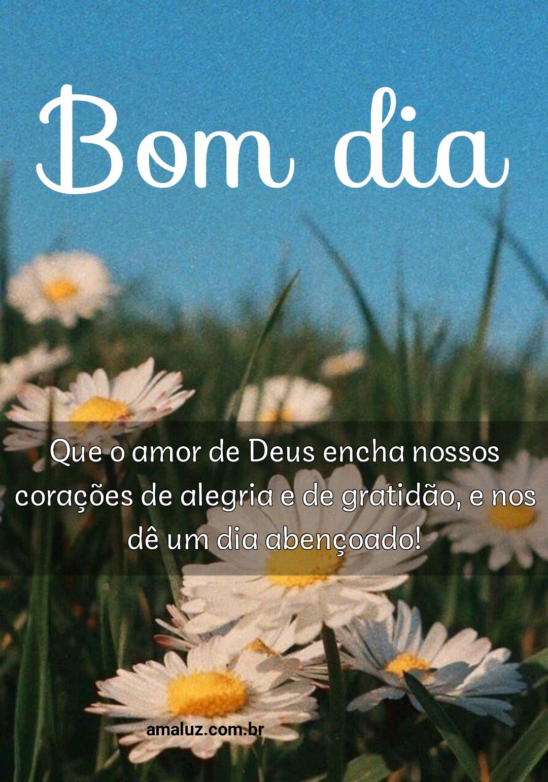 Que o amor encha seu coração de alegria bom dia