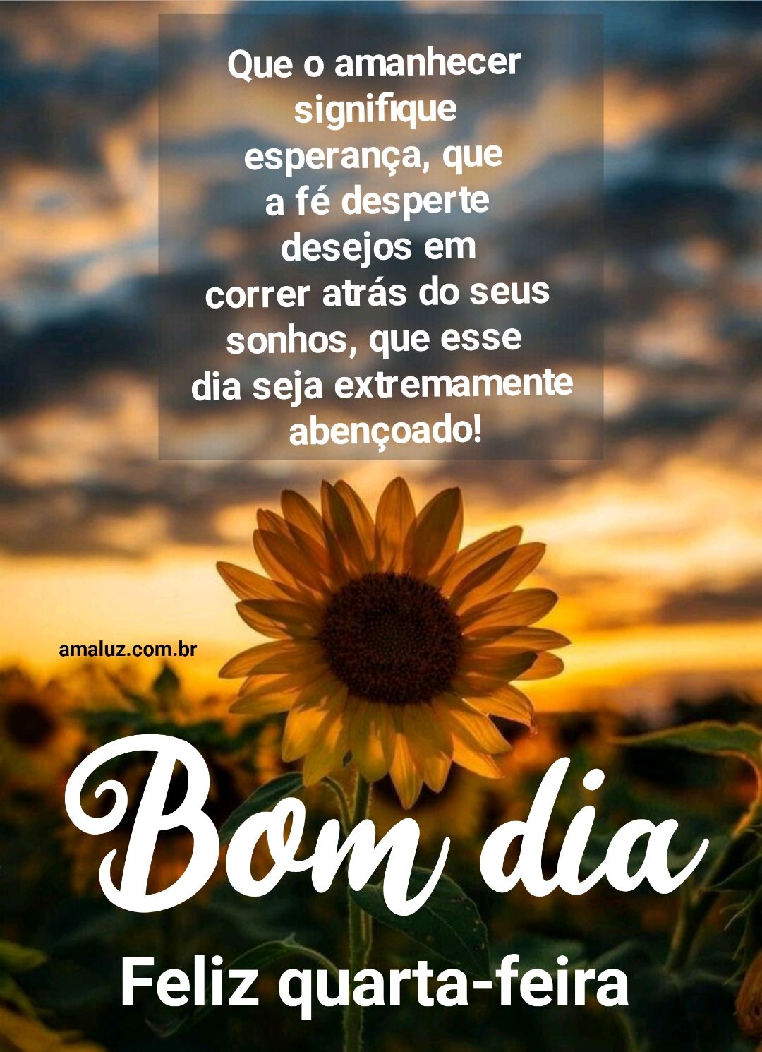 Que seu dia seja extremamente abençoado bom dia