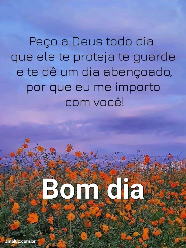 Tenha um dia abençoado você merece bom dia 