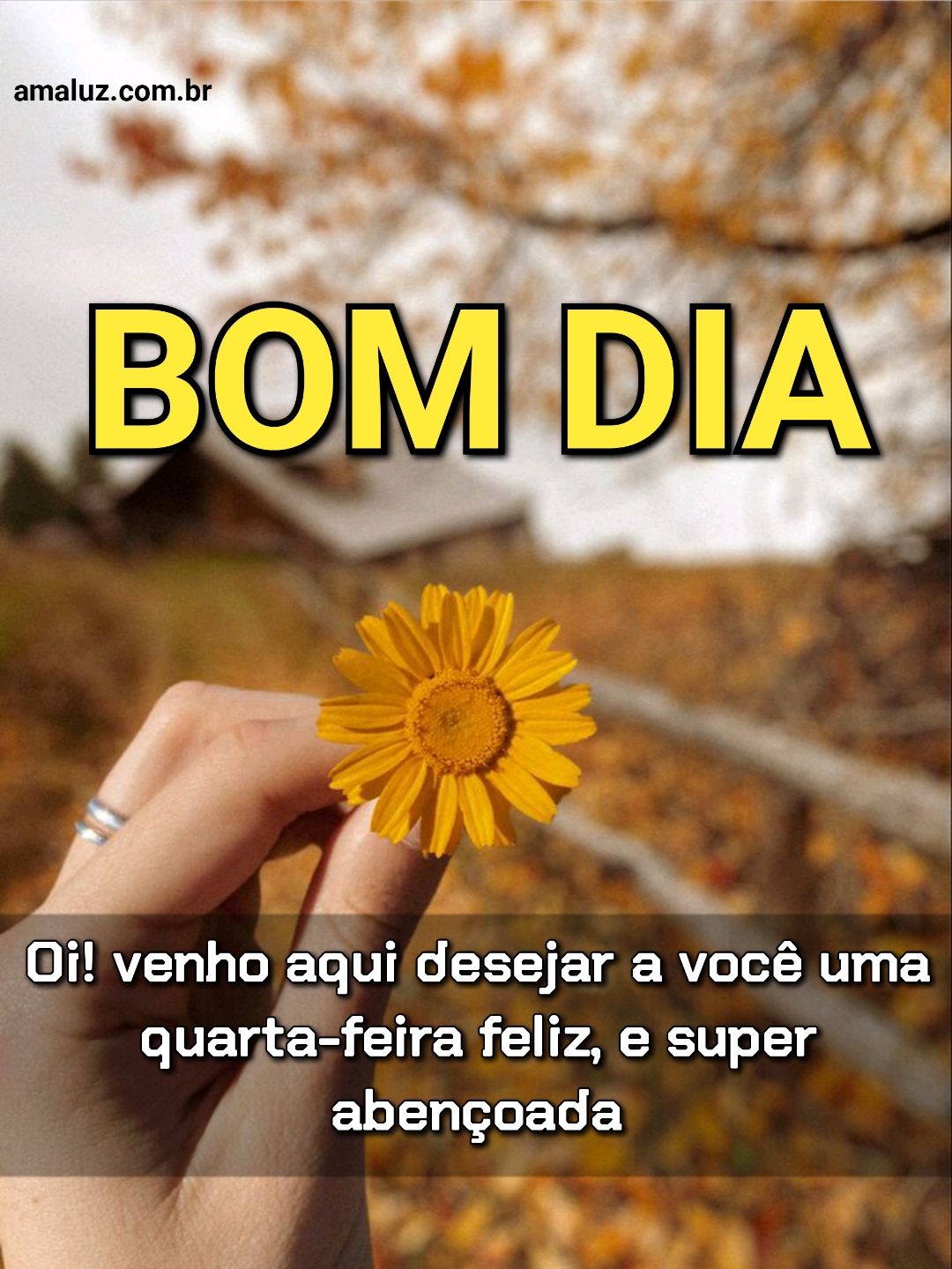 Tenha uma quarta-feira feliz e abençoada bom dia