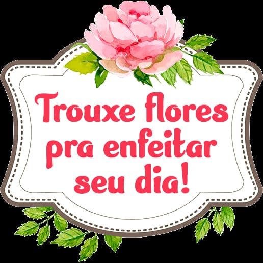 Trouxe flores para enfeitar seu dia