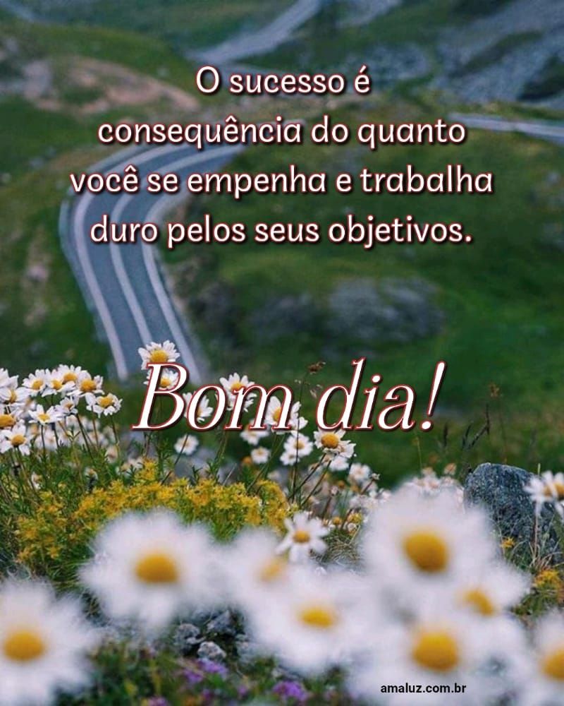 Você será muito bem sucedida bom dia