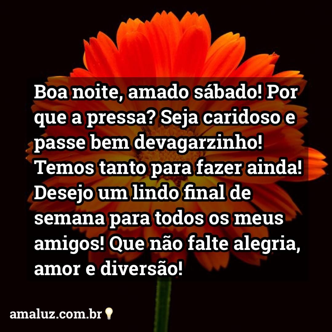 boa noite amado sábado