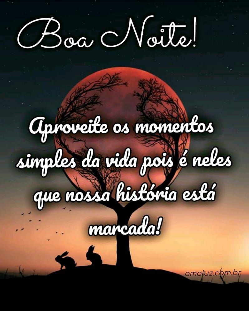 boa noite aproveira os momentos simples da vida