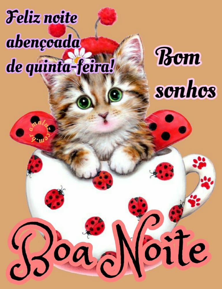 boa noite feliz noite abençoada de quinta feira