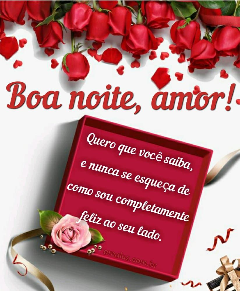 boa noite meu amor sou feliz ao seu lado