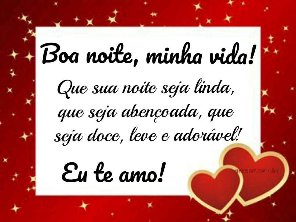 boa noite minha vida que sua noite seja linda