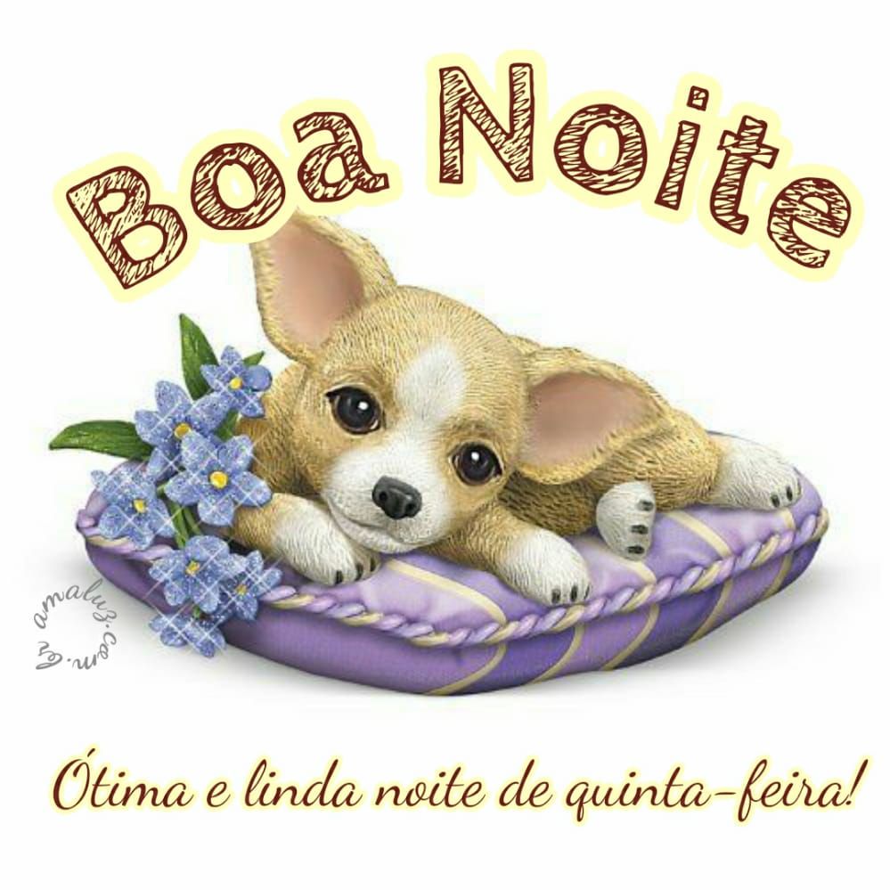 boa noite ótima e linda noite de quinta feira