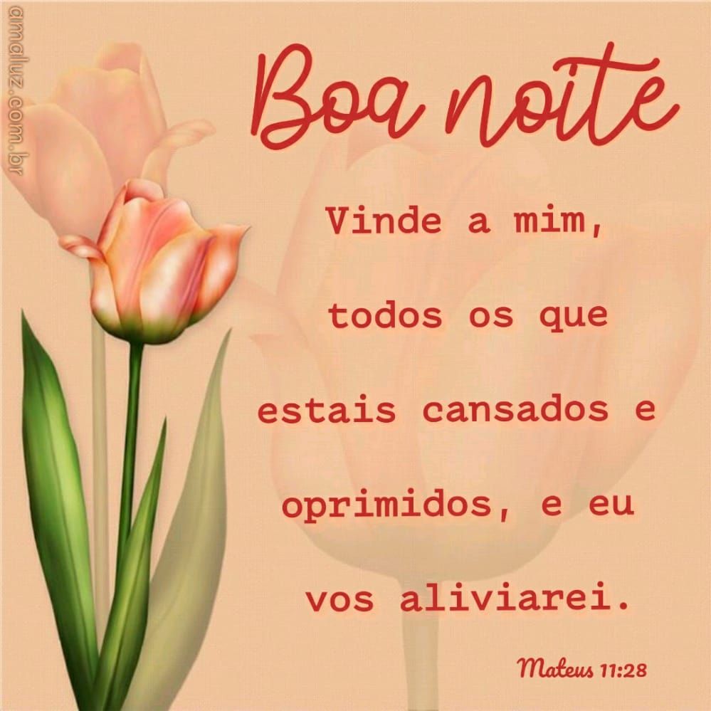 boa noite para você e sua família com essa imagem abençoada