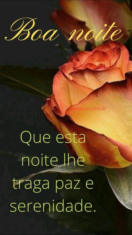 boa noite que os anjos façam do seu lar uma benção