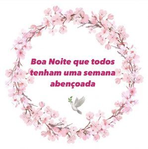 boa noite que todos tenham uma semana abençoada