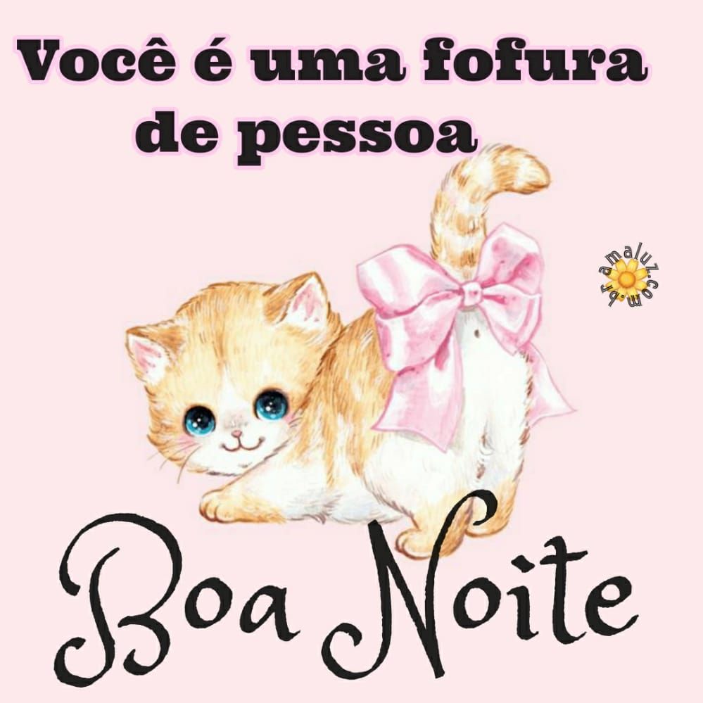 boa noite quinta feira você é uma fofura de pessoa