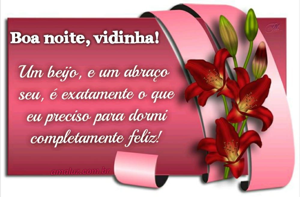 boa noite vidinha um beijo e um abraço