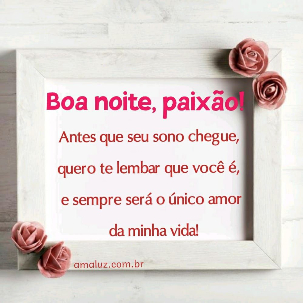 boa noite você é o amor da minha vida apaixonada