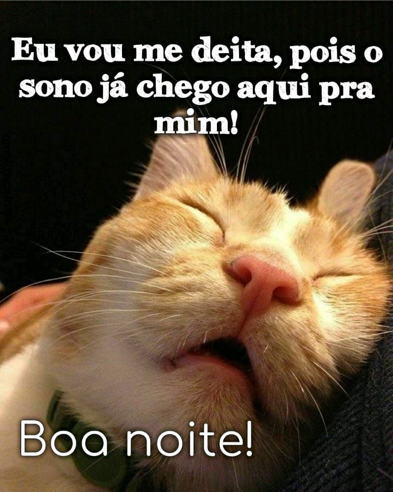 boa noite vou me deita pois o sono já chego