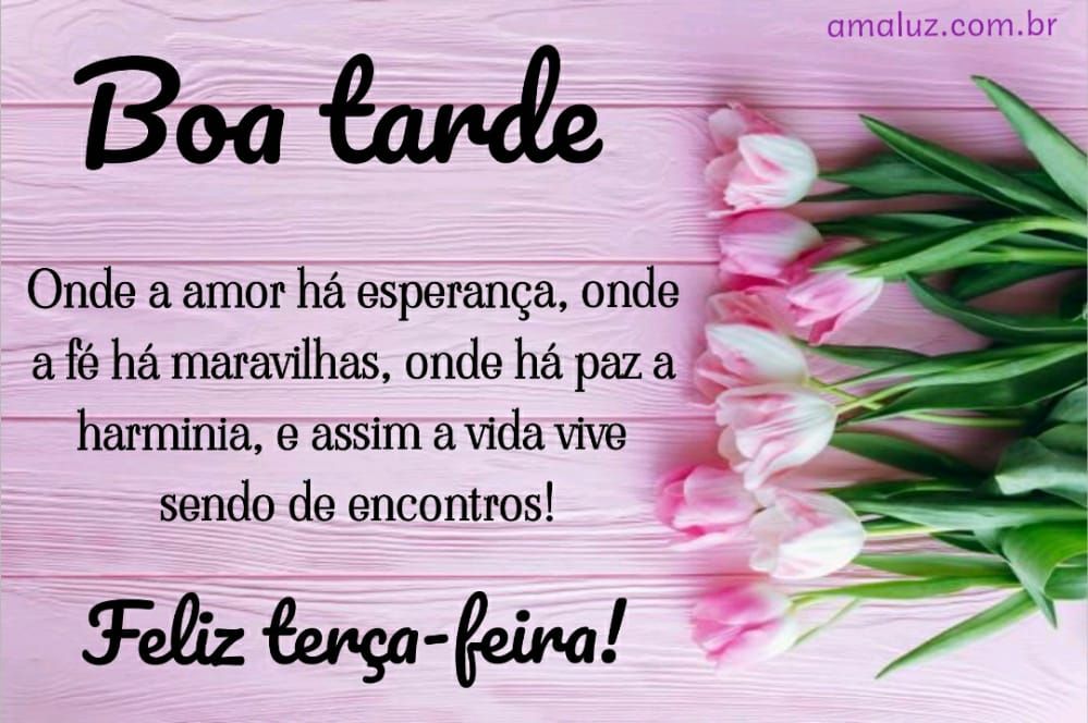 boa tarde a vida vive sendo de encontros feliz terça feira