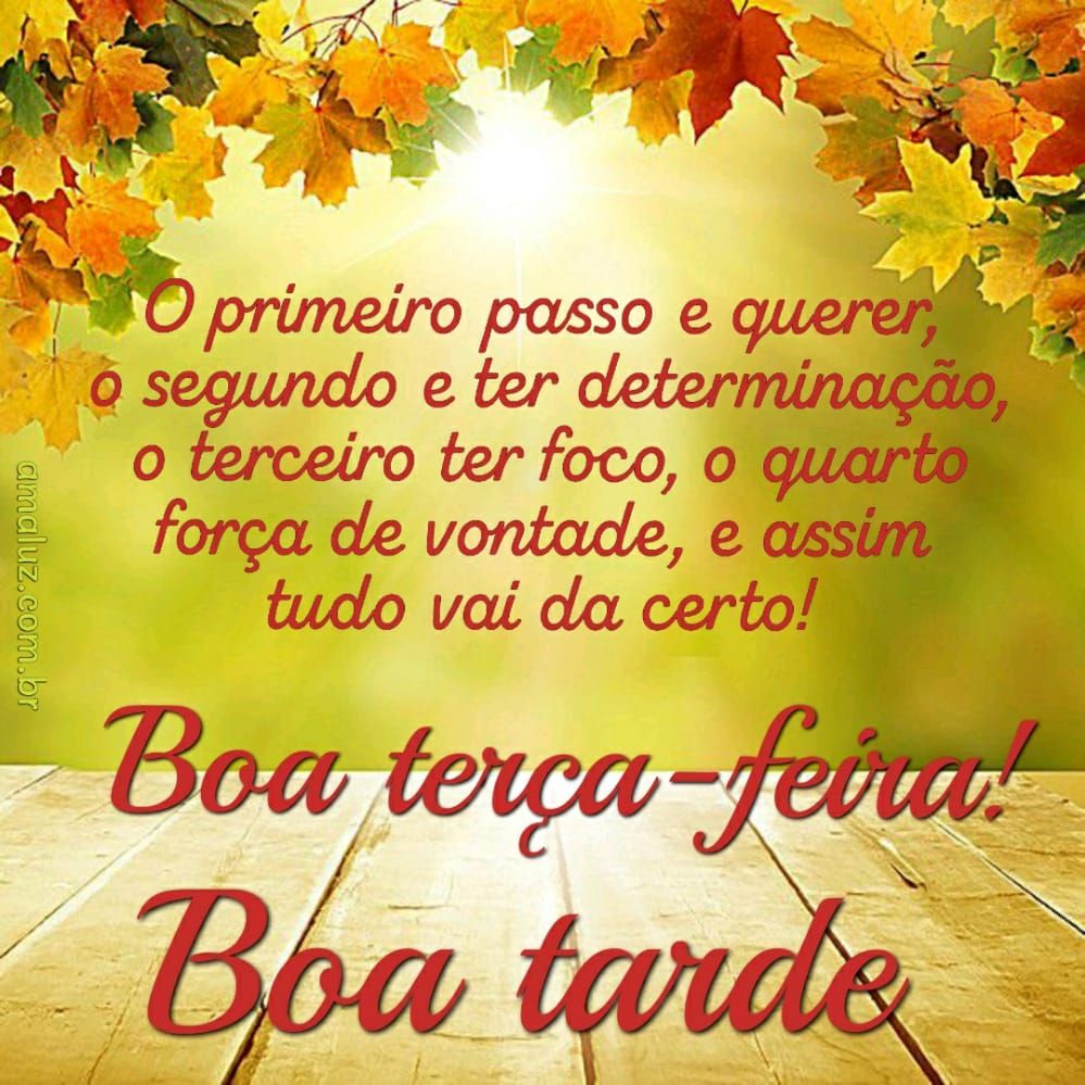 boa tarde tudo vai da certo boa terça feira