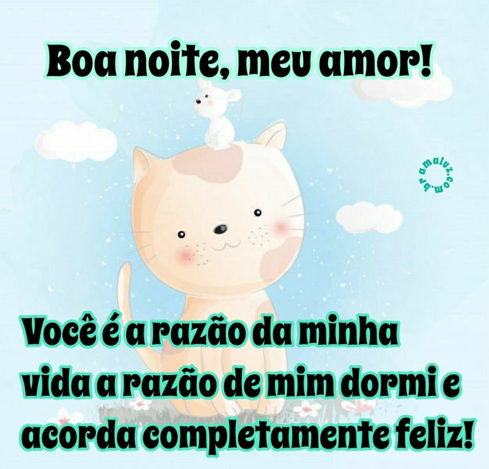 boa noite meu amor você é a razão da minha vida