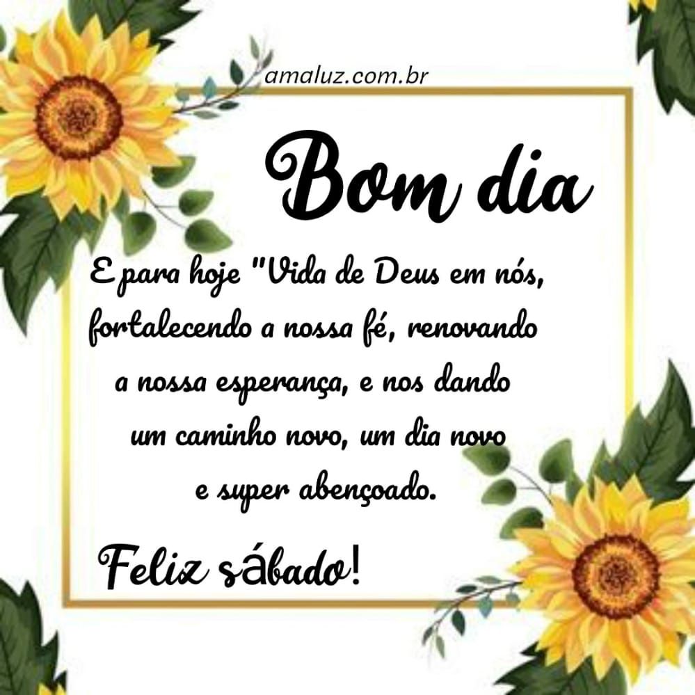 bom dia e para hoje um feliz sábado