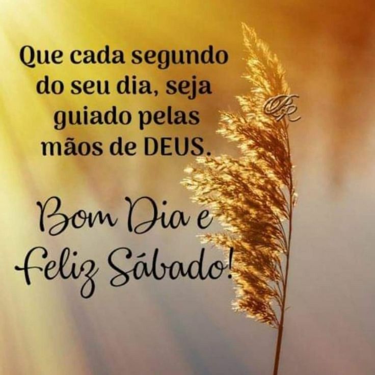 bom dia tenha um feliz sábado guiado pelas mãos de deus