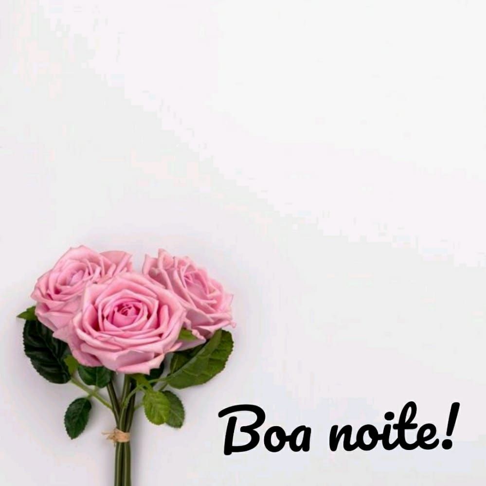 buque de flor e fundo branco com boa noite