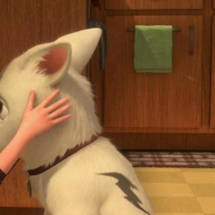 cachorrinho sendo beijado por sua dona