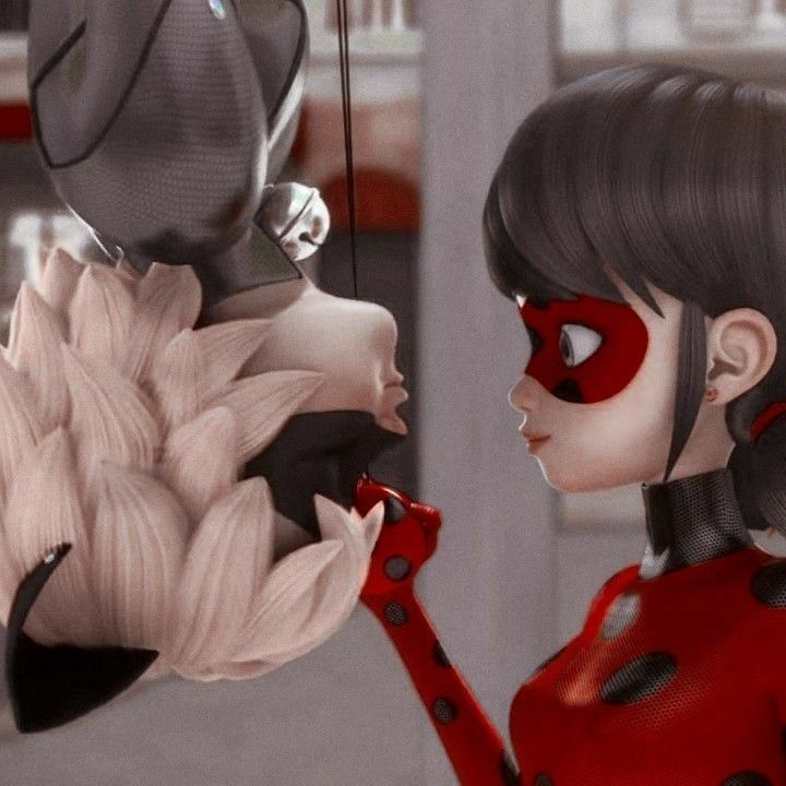 cat noir de cabeça para baixo com ladybug