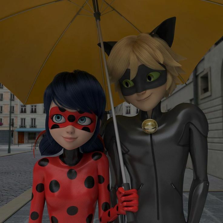 cat noir e ladybug debaixo de uma sombrilha juntos