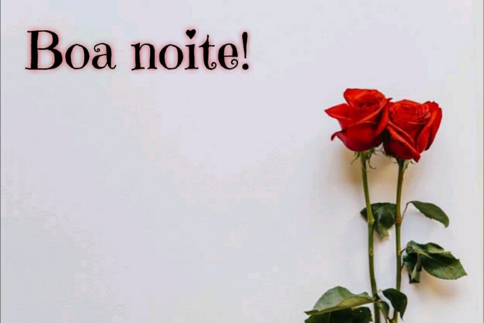 duas rosas vemelhas e boa noite