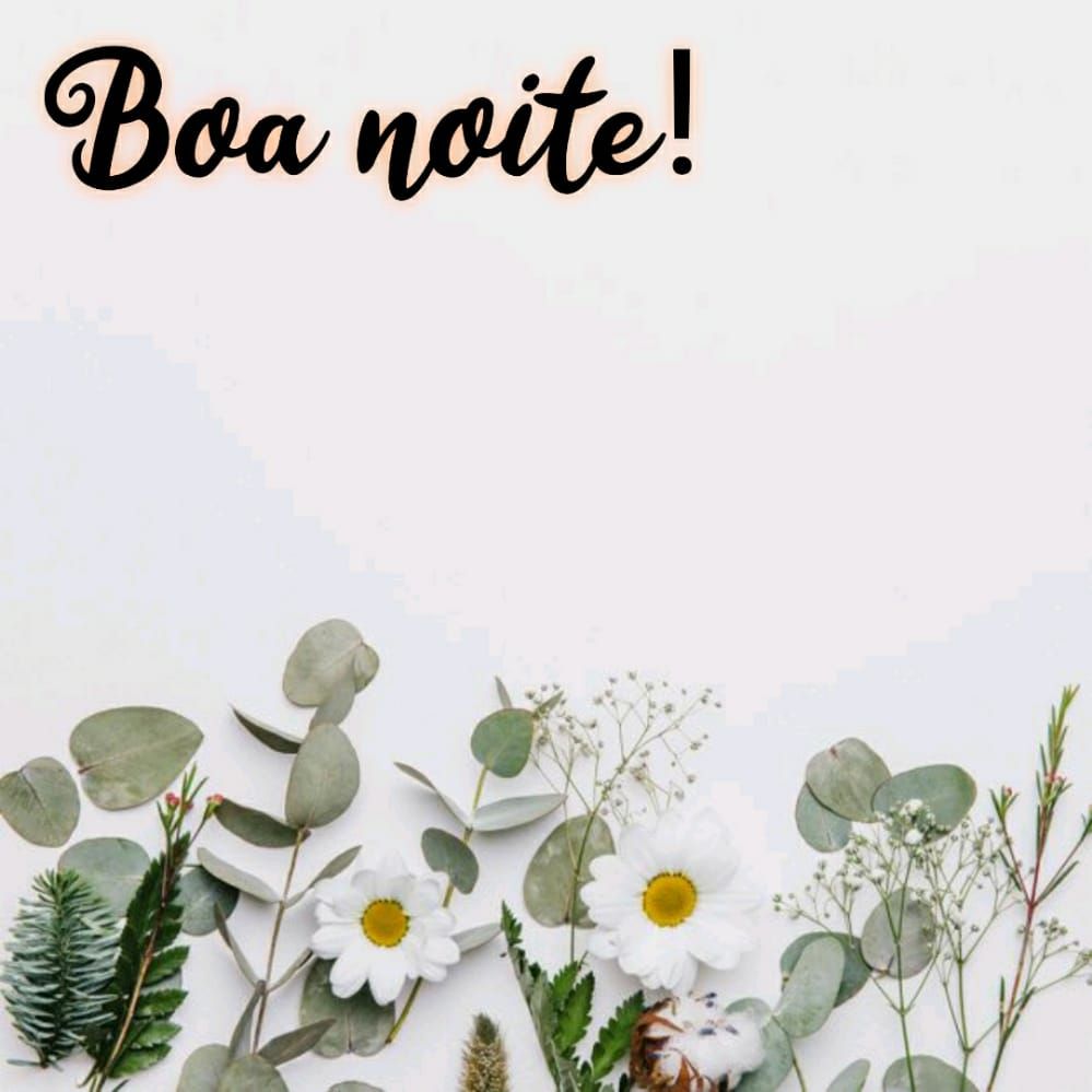 flores com fundo branco e boa noite