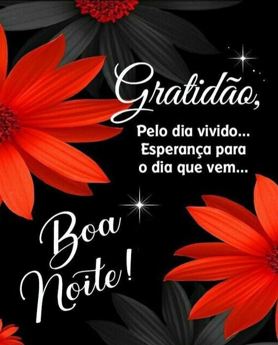 fratidão pela noite que vem