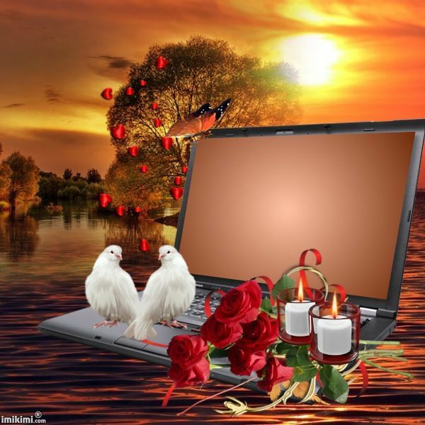 imagem com passararos notebook e velas eum lindo por do sol