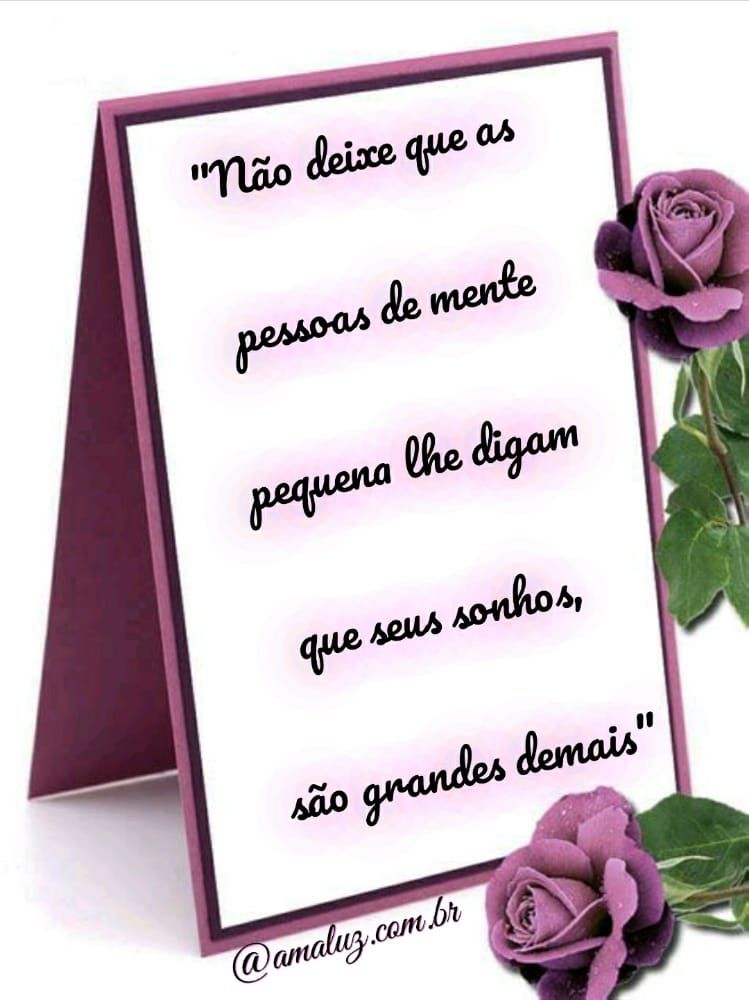 Imagem com quadros e flores com mensagens de motivação