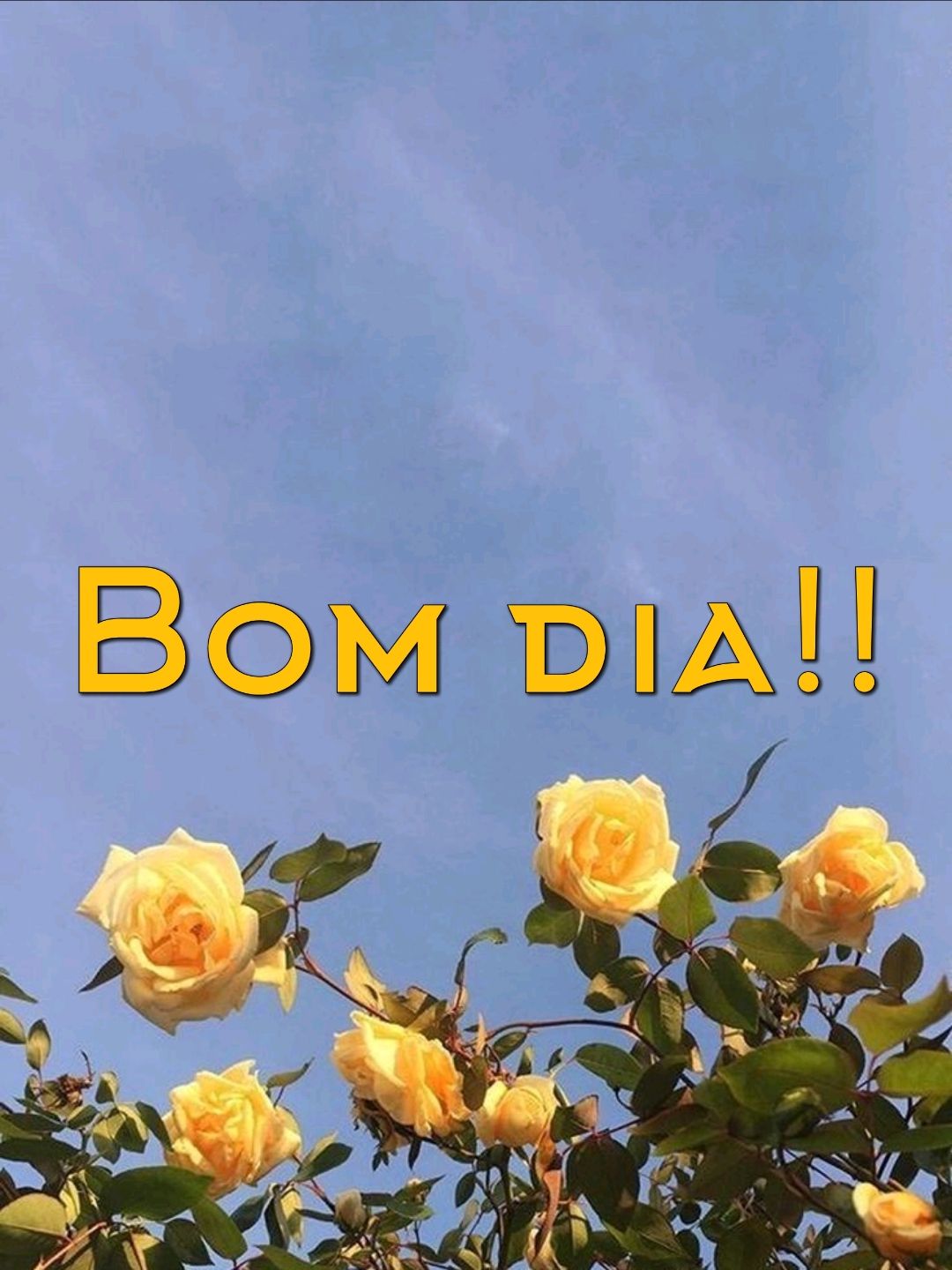 imagens pra criar mensagens de bom dia