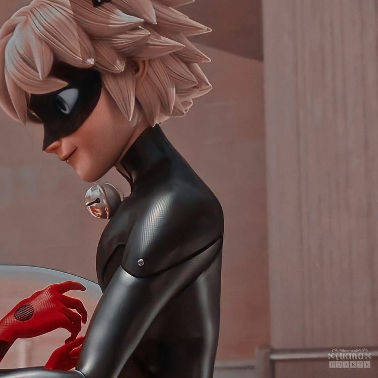 lado da metadinha do cat noir