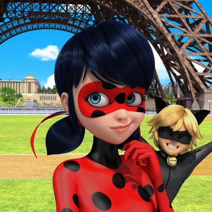 ladybug pensand e cat noir feliz