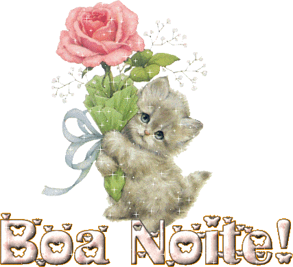 lindo gatinho segurando uma rosa de boa noite