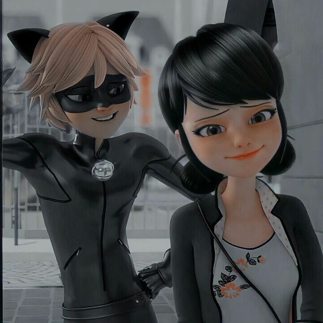 marinette e cat noir
